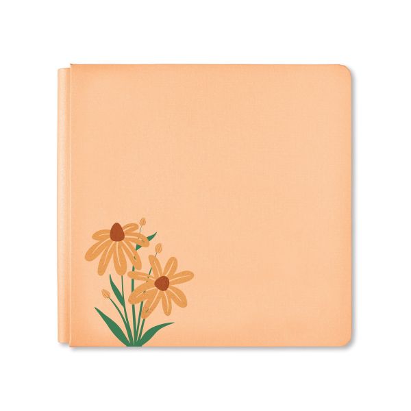 2024 NSD Album Cover Pale Peach Album Cover Creative Memories