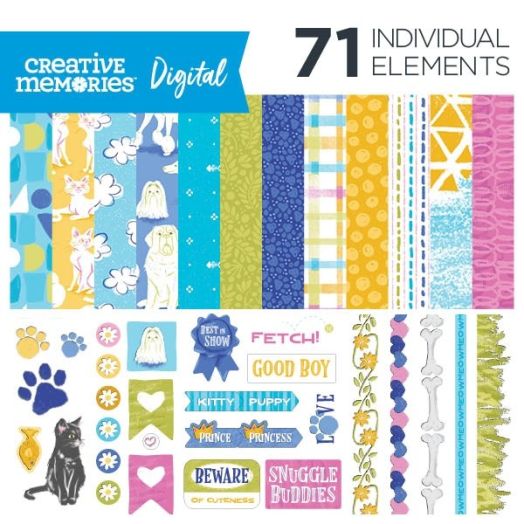 Digital Best in Show Kit