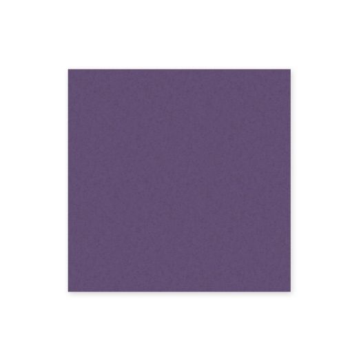 Eggplant Solid Cardstock (10/pk)