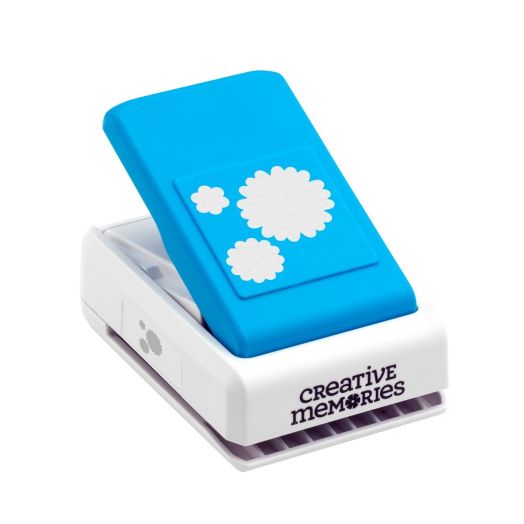 Chrysanthemums Punch