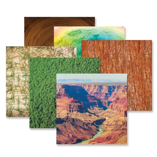 National Parks Themed Texture Paper: Leave Nothing Behind