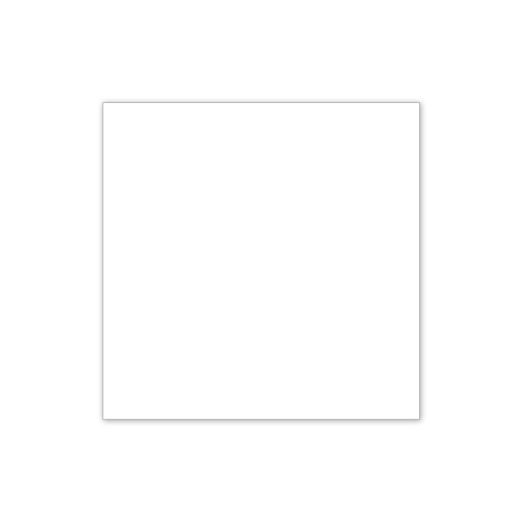 White Solid Cardstock (10/pk)