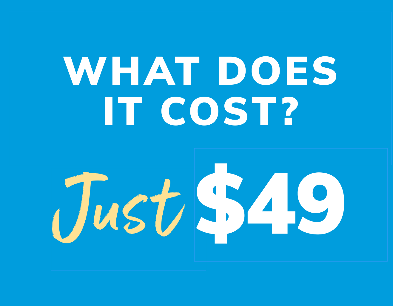 what does it cost? just $49