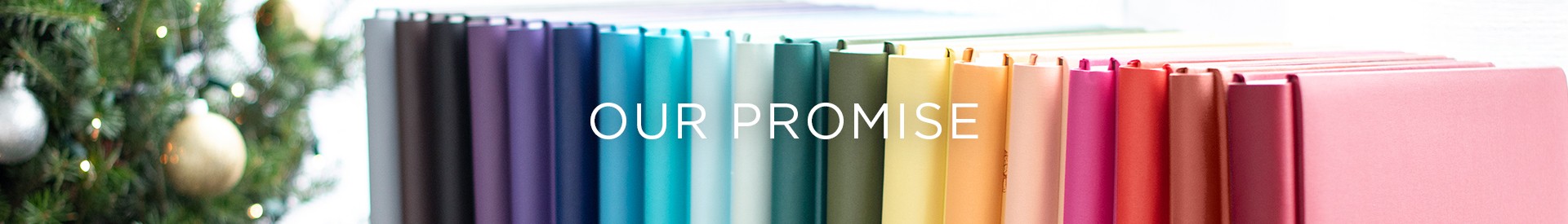 Our Promise Our Promise