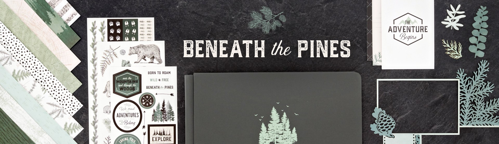 Forest & Outdoors: Beneath the Pines Forest & Outdoors: Beneath the Pines